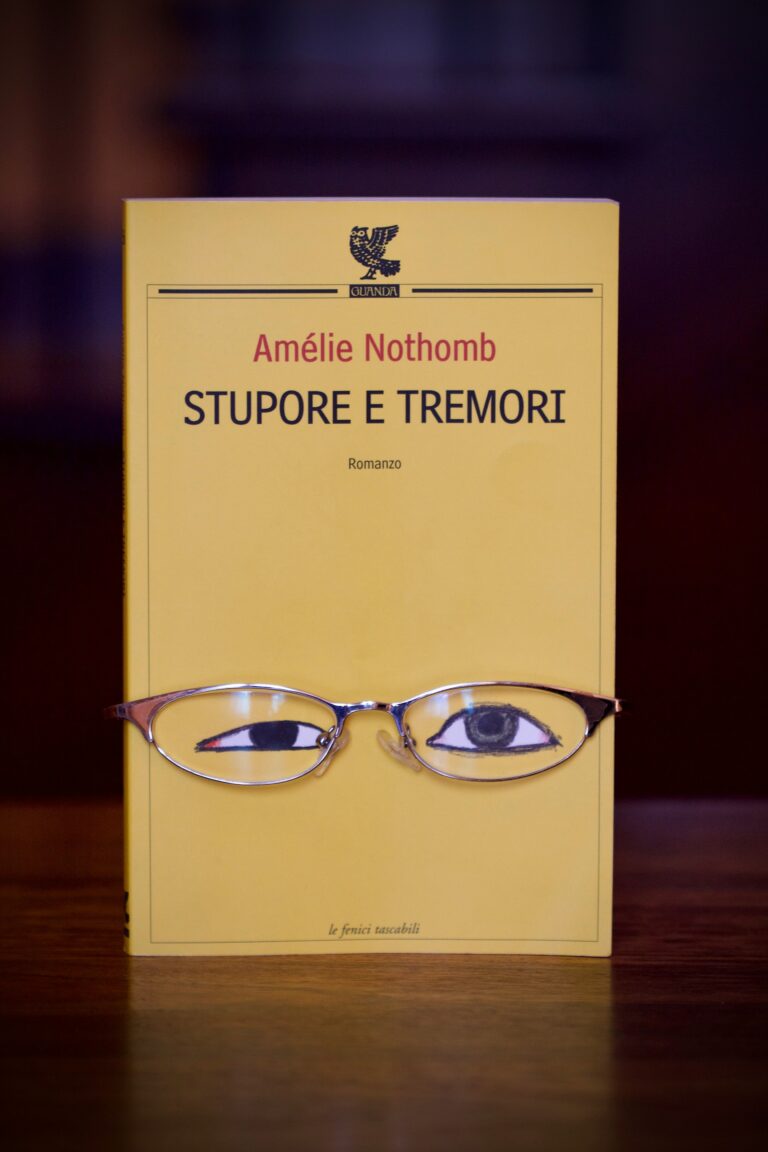 Novel 1